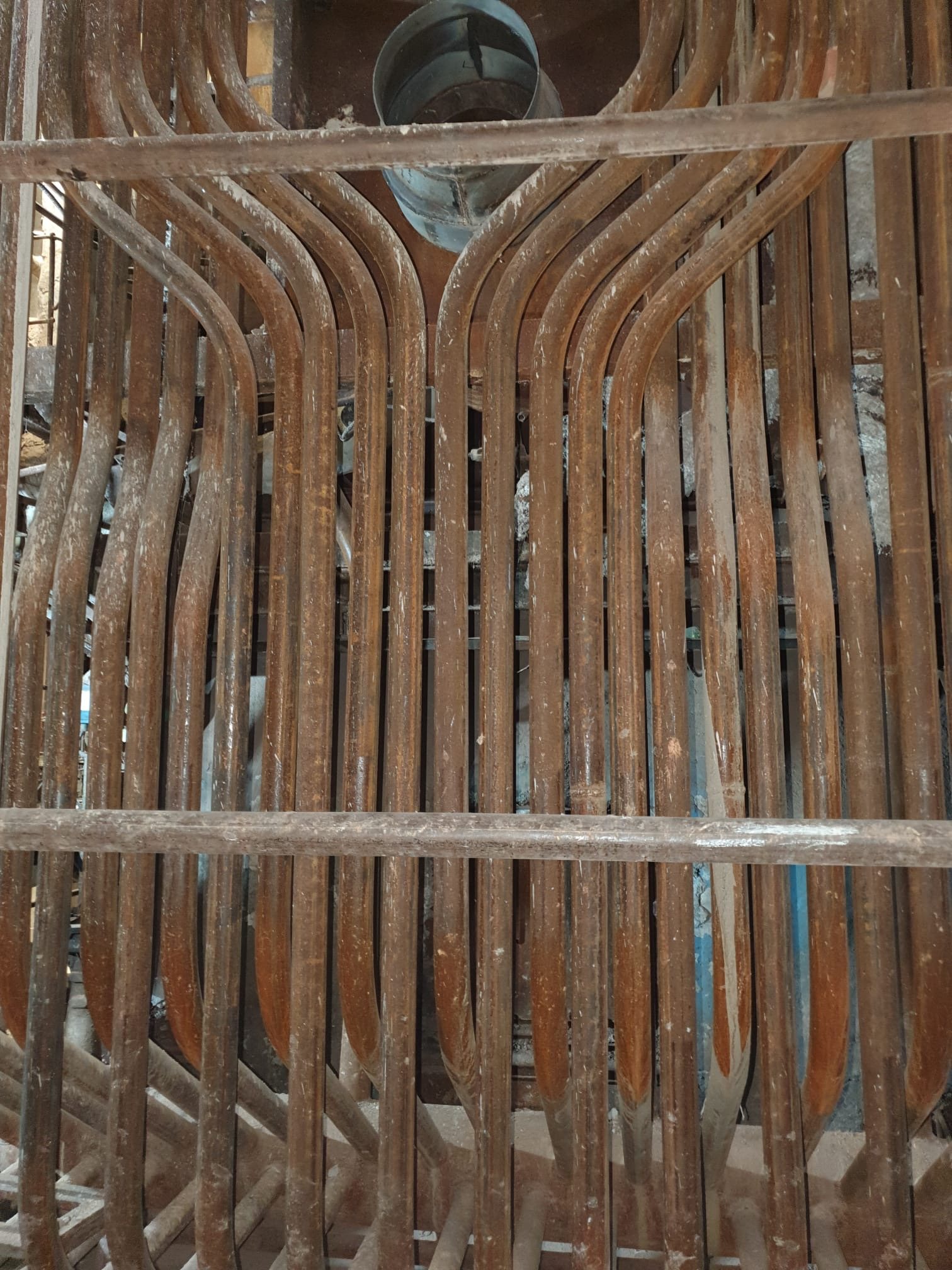 Boiler coil