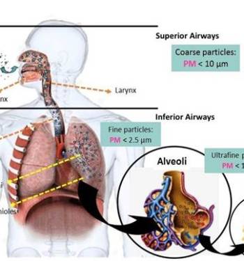 analysis-modes-of-transmission-of-covid-19-in-terms-of-indoor-air-quality